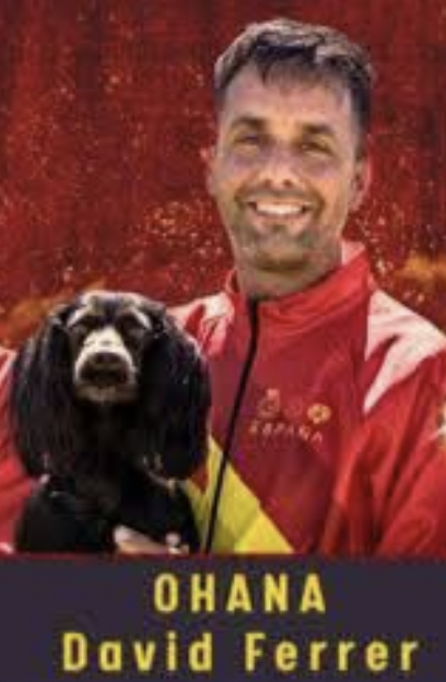 David & Ohana David & Ohana